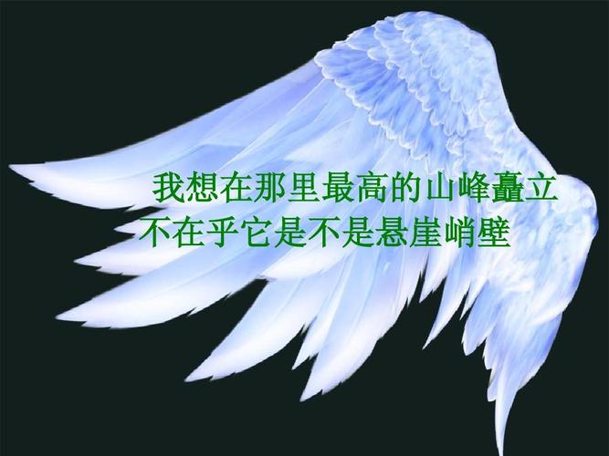 追梦谈第14季：多次几乎跌落悬崖但又爬了回来 感恩仍拥有健康