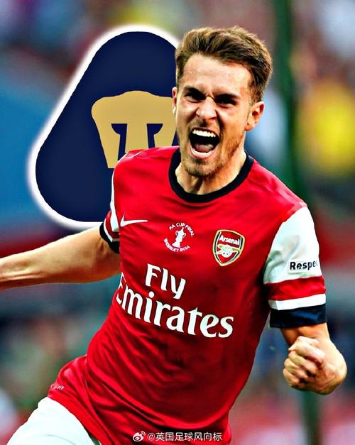 BBC：拉姆塞希望成为教练，他在威尔士作为非正式教练辅佐贝拉米